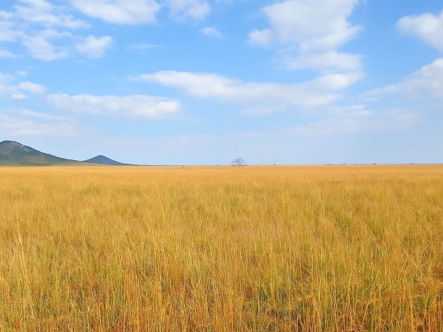  Bedroom Property for Sale in Bloemfontein Rural Free State